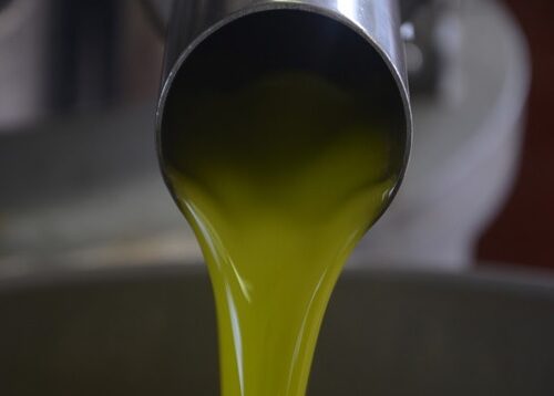 L’olio novello: ideale per la salute ed elemento essenziale nella dieta mediterranea