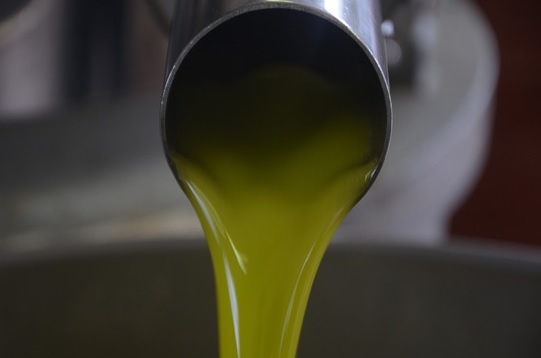 benefici dell'olio novello non filtrato