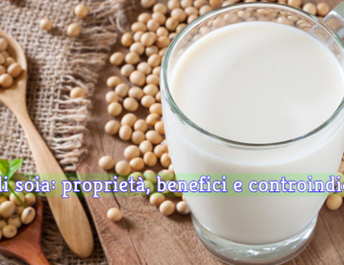 Latte di Soia: Benefici, Valori Nutrizionali e Controindicazioni